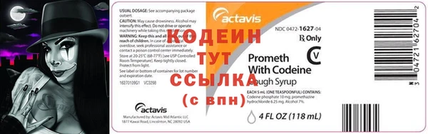 хмурый Невель