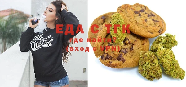 стаф Корсаков