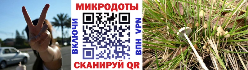Галлюциногенные грибы ЛСД  блэк спрут ссылка  Спасск 